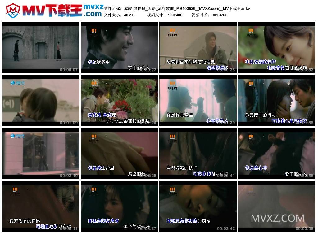 成骏-黑玫瑰_国语_流行歌曲_MB103529